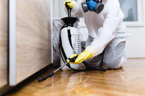 Best Best Pest Control Companies  in Potomac Park, CA