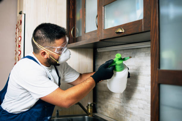 Pest Prevention Services in Potomac Park, CA