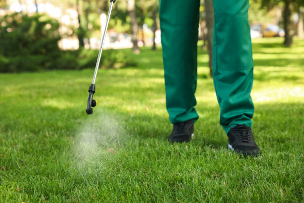Best Rat Extermination Near Me  in Potomac Park, CA
