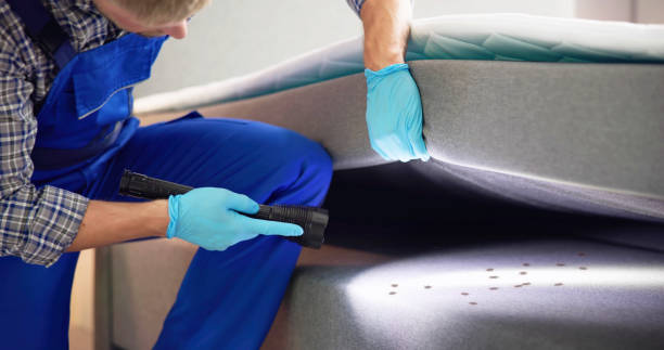 Best Pest Control Treatment  in Potomac Park, CA