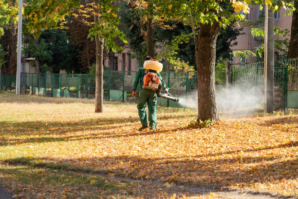 Best Bed Bug Extermination  in Potomac Park, CA