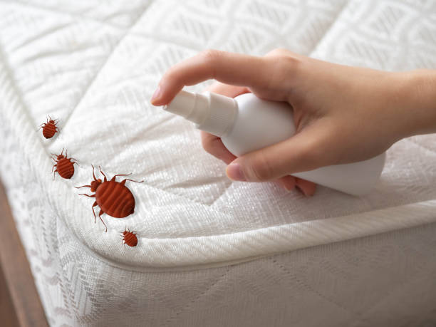 Best Pest Control Near Me  in Potomac Park, CA