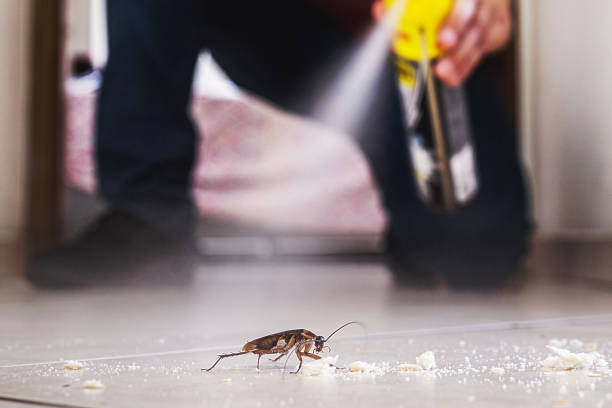 Professional Pest Control in Potomac Park, CA