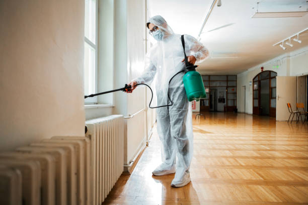 Flea Control Services in Potomac Park, CA
