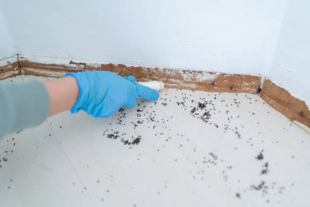 Best Pest Inspection Near Me  in Potomac Park, CA