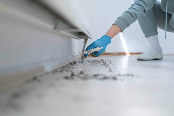 Best Pest Removal Services  in Potomac Park, CA