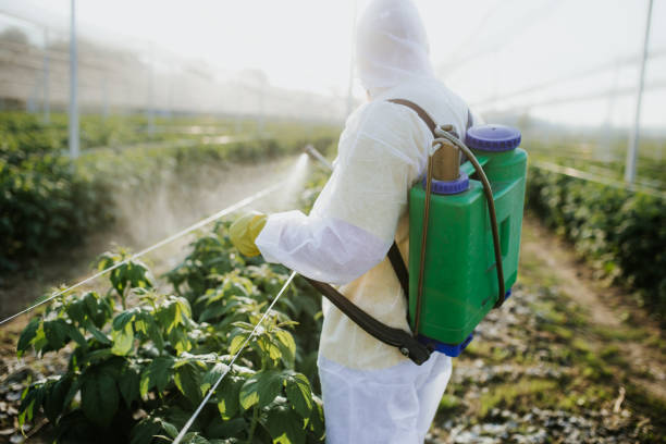 Best Wildlife Control Services  in Potomac Park, CA